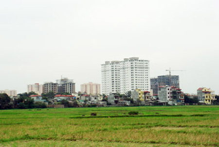 Phú Điền - Quy định tách thửa đất khi góp tiền mua